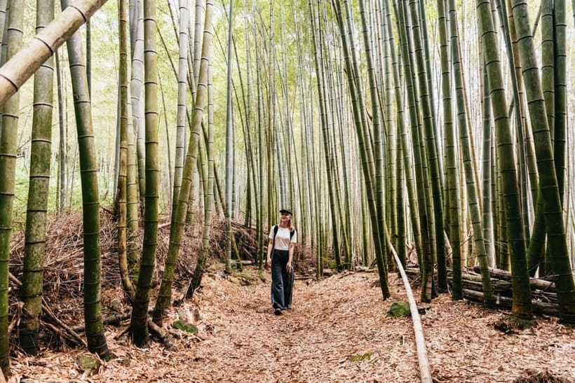 Kyoto: 3-Hour Fushimi Inari Shrine Hidden Hiking Tour - Tofukuji Temple stop: a quick warm-up and context