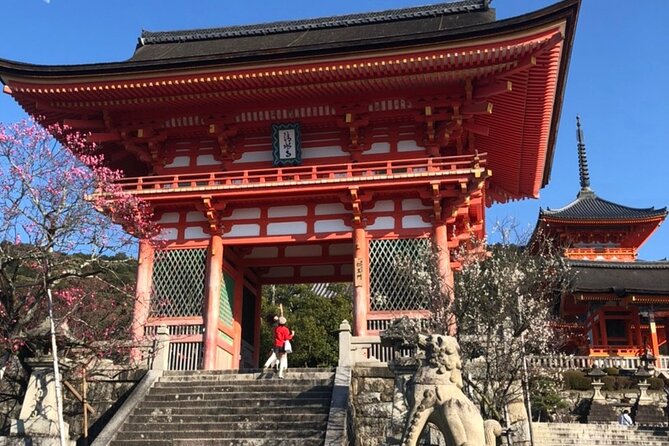 Kyoto 6h Private Tour Fushimi Inari, Kiyomizu, Gion & Hidden Gems - A half-day Kyoto sprint, starting at Kyoto Station and ending in Gion
