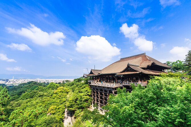 Kyoto 6hr Instagram Highlights Private Tour with Licensed Guide - Price and what you actually get for $154.37 per person