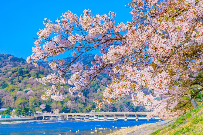 Kyoto 6hr Instagram Highlights Private Tour with Licensed Guide - Timing tricks to make the most of your 6 hours