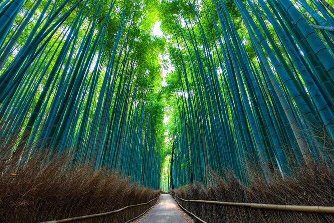 Kyoto 6hr Instagram Highlights Private Tour with Licensed Guide - A realistic look at the walking pace and pickup setup