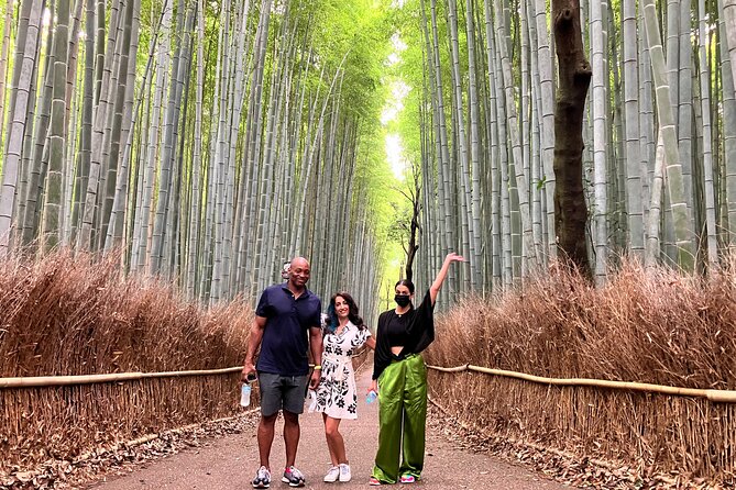 Kyoto 8hr Private Tour with Government-Licensed Guide - Center-city calm: Kyoto Imperial Palace and Pontocho