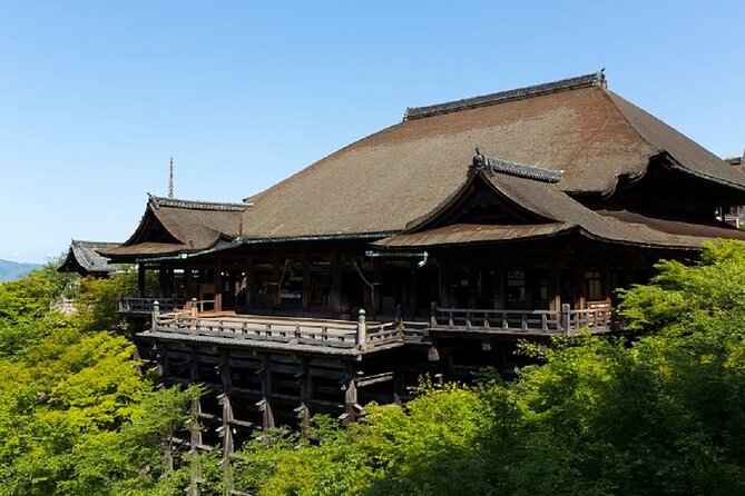 Kyoto Afternoon Tour from Kyoto or Osaka - Getting there smoothly: Avanti meeting point and transport reality