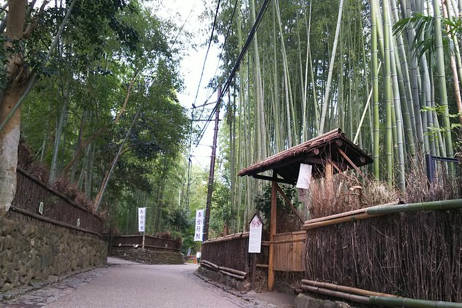 Kyoto and Nara 2-Day Tour: Golden Pavilion, Todaiji, Deer Park - Price Check: What the $321.93 Covers (And Why It Can Be Worth It)