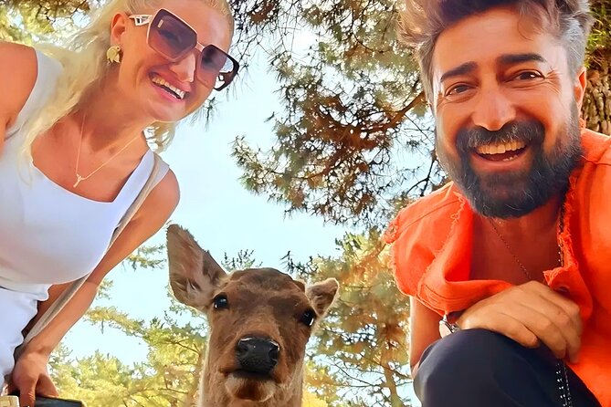Kyoto and Nara Day Tour From Osaka with Deer Sightings - Key highlights worth knowing