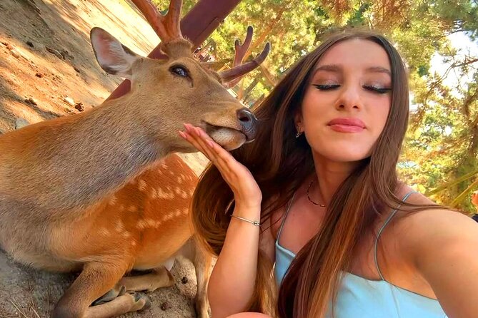 Kyoto and Nara Day Tour From Osaka with Deer Sightings - Nara Park and the deer: how to enjoy the star without stress