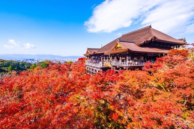 Kyoto and Nara Private Car Tour with a Local English Guide Driver - How the 10-hour plan really plays: lots of 15-minute stops