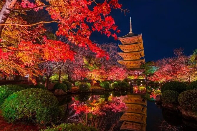 Kyoto and Nara Private Car Tour with a Local English Guide Driver - The driver and guide setup: comfort plus safety