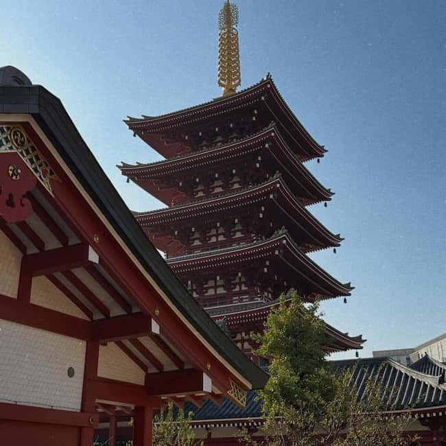 Kyoto and Nara: Private Customized Tour with Guide & vehicle - Golden Pavilion and the Kyoto contrast that keeps the day interesting