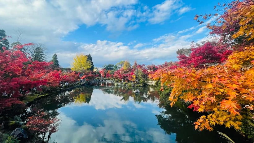 Kyoto and Nara: Private Customized Tour with Guide & vehicle - The guide quality question, based on real-world feedback