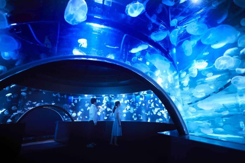Kyoto Aquarium Admission Ticket - Kyoto Aquarium in Umekoji Park: A Calm Place to Start