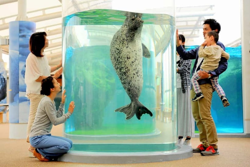 Kyoto Aquarium Admission Ticket - The Recreated Satoyama Rural Setting: How Kyoto People Coexisted
