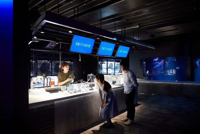 Kyoto Aquarium Admission Ticket - Price and Value: Is $16 a Good Deal?