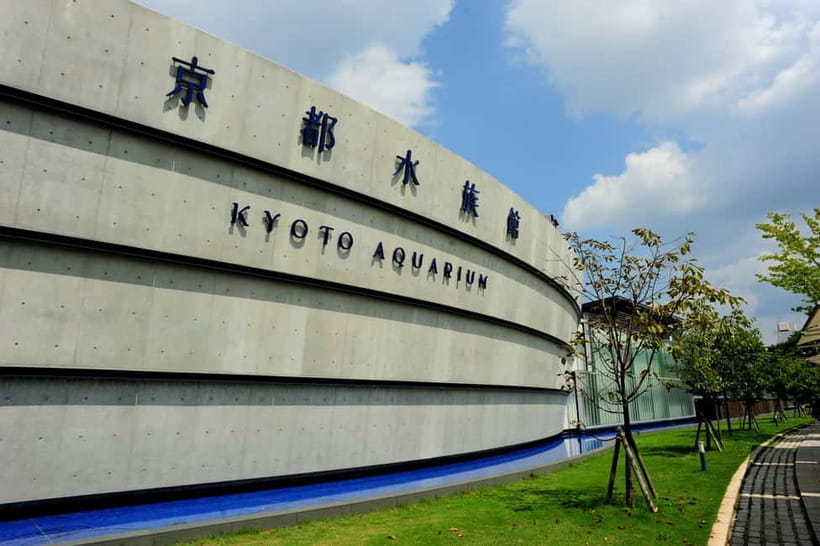 Kyoto Aquarium Admission Ticket - Who Should Book Kyoto Aquarium (And Who Might Skip It)