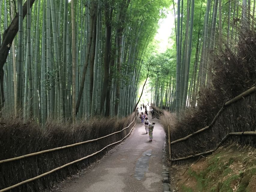 Kyoto Arashiyama Bamboo Forest Customized Private Tour - Togetsukyo Bridge, bamboo groves, and temple picks