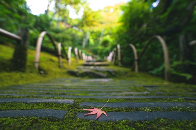 Kyoto Arashiyama Bamboo forest & Garden Half-Day Walking Tour - Togetsukyo Bridge lunch break: the best reason to trust the plan