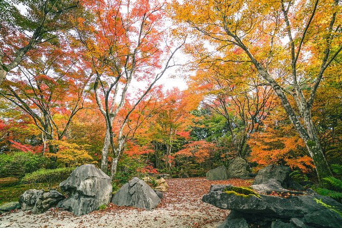 Kyoto Arashiyama Bamboo forest & Garden Half-Day Walking Tour - Tenryu-ji Temple: World Heritage gardens explained in plain language