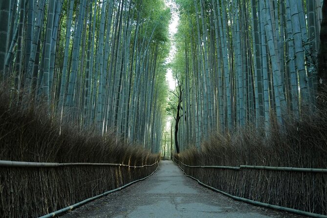 Kyoto Arashiyama Bamboo Forest Hiking Tour(Hidden Temples) - Key highlights worth your attention