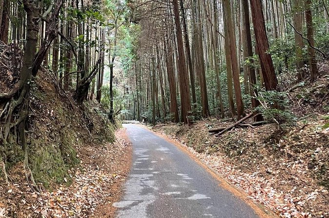 Kyoto Arashiyama Bamboo Forest Hiking Tour(Hidden Temples) - The mountain hike for Kyoto panoramas: where the energy goes