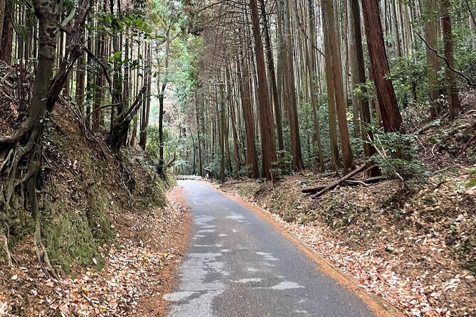 Kyoto Arashiyama Bamboo Forest Hiking Tour(Hidden Temples) - Adashino Nenbutsu-ji: the temple stop with 8,000 statues