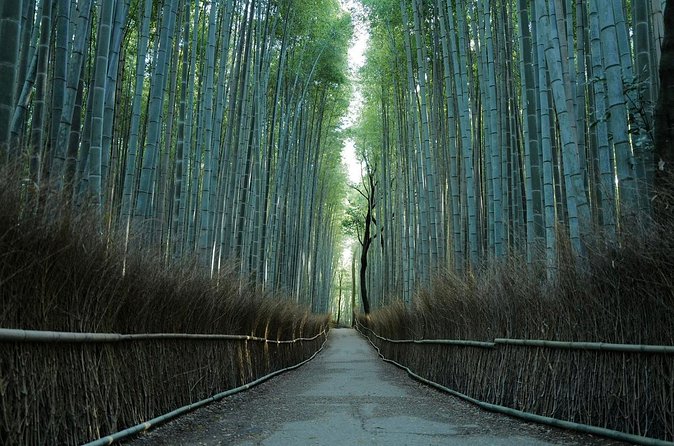 Kyoto Arashiyama Bamboo Forest Hiking Tour(Hidden Temples) - The guide makes it work: navigation, pace, and clear English