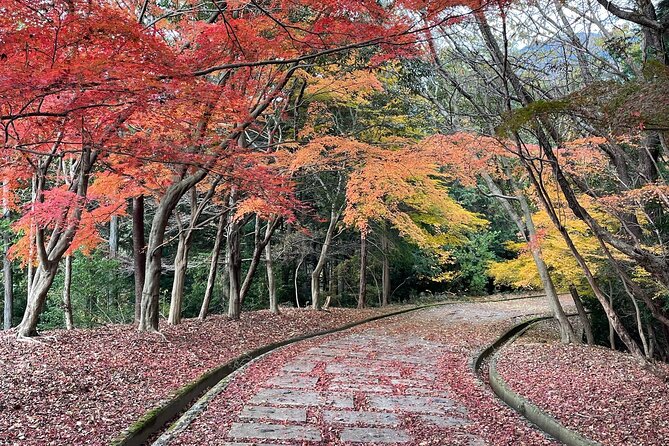 Kyoto Arashiyama Bamboo Forest Hiking Tour(Hidden Temples) - Bamboo Forest Walk: the shortcut feeling without losing the magic
