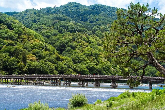 Kyoto: Arashiyama Bamboo Forest, Monkeys, Matcha & Temple Tour - Key highlights at a glance