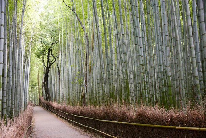 Kyoto Arashiyama Bamboo Forest & Scenery Customized Private Tour - Kyoto Arashiyama, Sagano, and the Value of a Real Guide