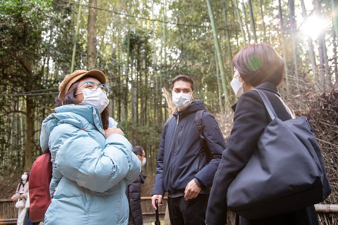 Kyoto Arashiyama Bamboo Forest & Scenery Customized Private Tour - Hillside temples: Jojakkoji, Nisonin, and Gioji for maples and stories