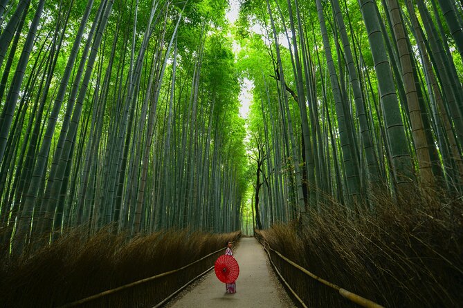 Kyoto: Arashiyama Bamboo, Temple, Matcha, Monkeys & secret spots - Stop 2: Okochi Sanso Private Garden, Matcha in a Former Tea House, and the Calming Reset
