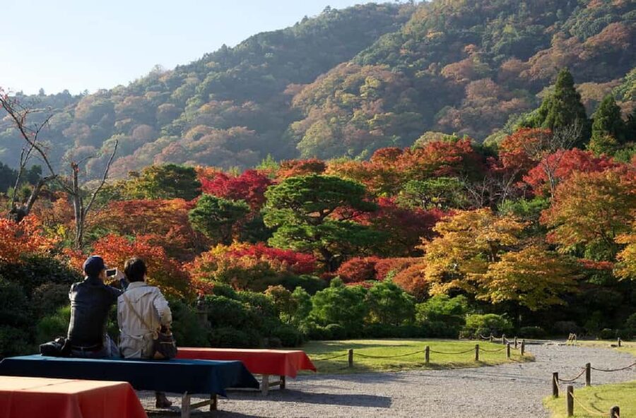 Kyoto: Arashiyama Bamboo, Togetsukyo bridge, Sanso, and more - Sagano Bamboo Forest: the iconic walk that still feels special