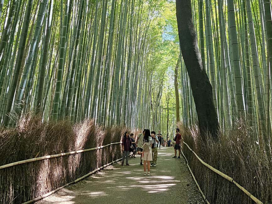Kyoto: Arashiyama Bamboo, Togetsukyo bridge, Sanso, and more - Togetsukyo Bridge photos with mountain-framed views
