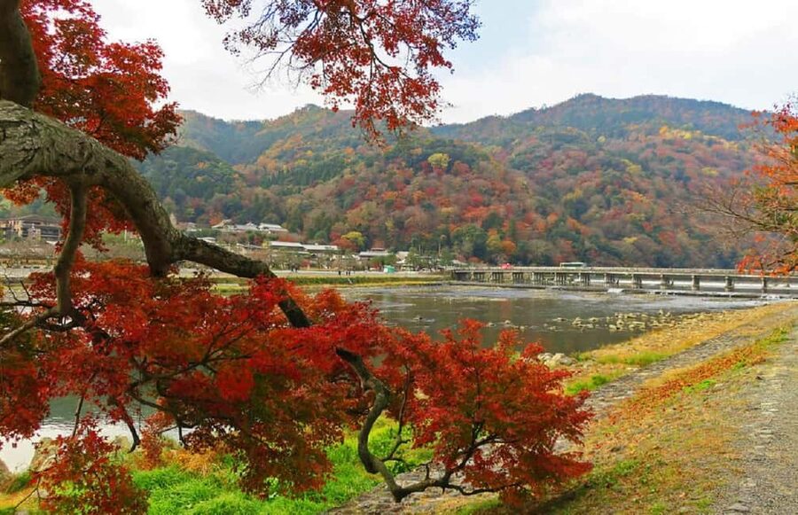 Kyoto: Arashiyama Bamboo, Togetsukyo bridge, Sanso, and more - Okochi Sanso Villa gardens, plus optional matcha