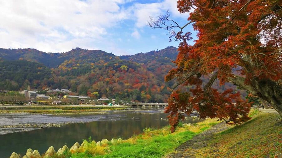 Kyoto: Arashiyama Bamboo, Togetsukyo bridge, Sanso, and more - Kimono Forest illumination: modern art meets old Kyoto