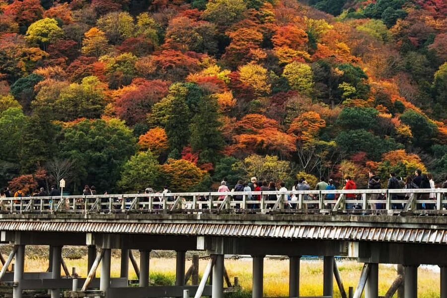 Kyoto: Arashiyama Bamboo, Togetsukyo bridge, Sanso, and more - Price and value: what $26 really buys