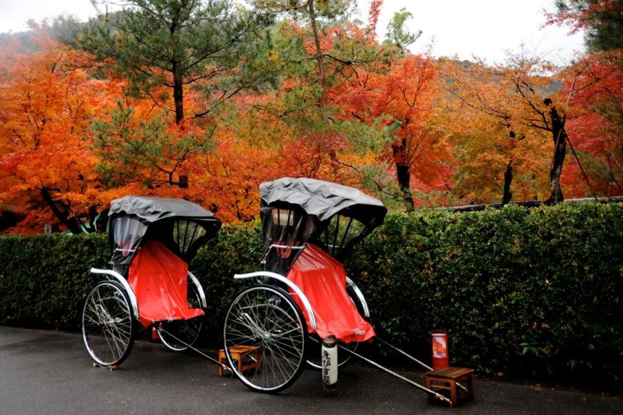 Kyoto: Arashiyama Customized Rickshaw Tour & Bamboo Forest - Nonomiya Shrine: the Shinto stop that adds meaning