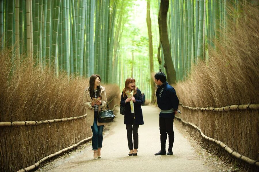 Kyoto: Arashiyama Customized Rickshaw Tour & Bamboo Forest - Nison-in and the temple-garden rhythm