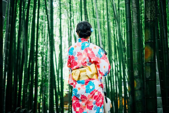 Kyoto: Arashiyama Early Access Bamboo & Temple Tour - Key points before you go
