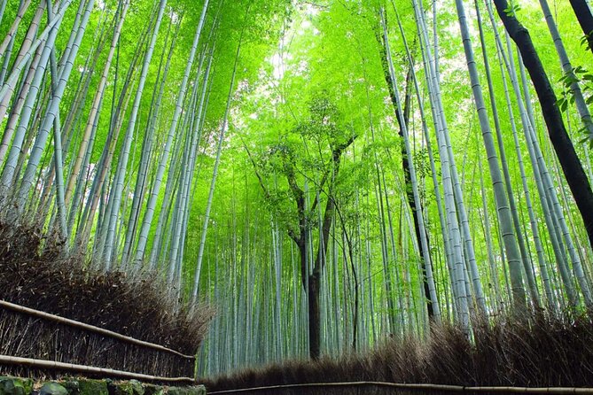 Kyoto: Arashiyama Early Access Bamboo & Temple Tour - The Walking Experience, Including Katsura River Views