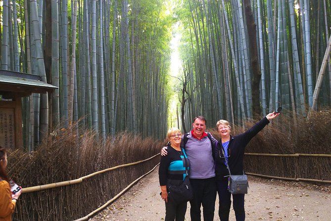 Kyoto Arashiyama & Golden Pavilion One-Day Walking Tour - Tenryu-ji Temple: UNESCO grounds with a story behind it