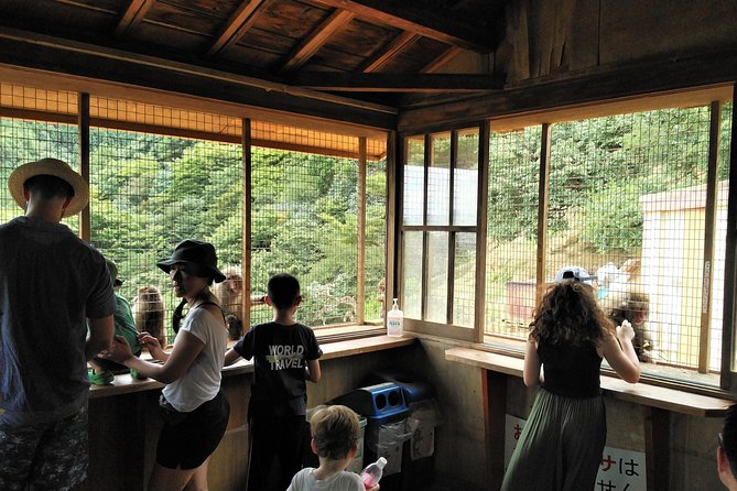 Kyoto Arashiyama & Golden Pavilion One-Day Walking Tour - Getting Ready: Walking Level, What to Wear, and Small Comfort Wins