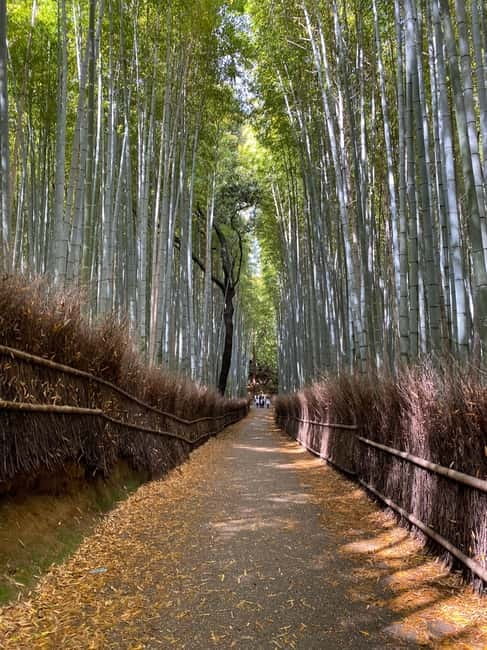 Kyoto: Arashiyama Guided Tour, Bamboo, Monkey, Zen Temple - Togetsukyo Bridge: a short stop that still lands big