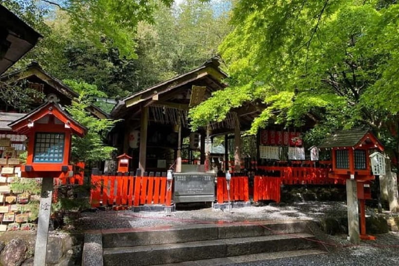 Kyoto: Arashiyama Guided Tour, Bamboo, Monkey, Zen Temple - Guides really matter here: what “small-group” means in practice
