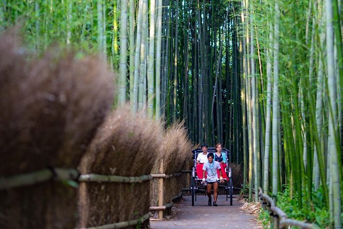 Kyoto Arashiyama Rickshaw Tour with Bamboo Forest - Shrines and haiku culture: Nonomiya, a Shinto shrine in bamboo, and a thatched cottage