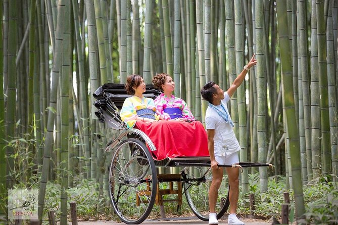 Kyoto Arashiyama Rickshaw Tour with Bamboo Forest - Riding through the bamboo: the shaded, guided bamboo-forest street segment
