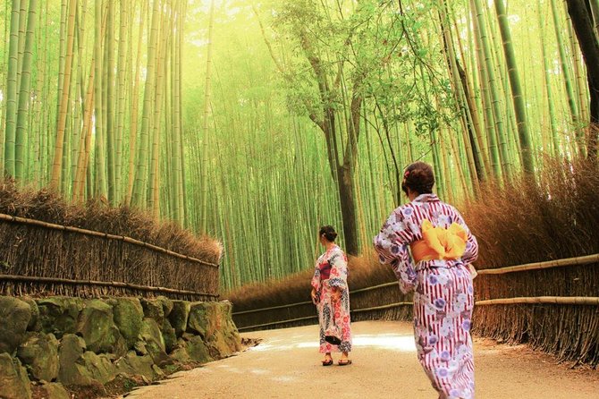 Kyoto Arashiyama & Sagano Bamboo Private Tour with Government-Licensed Guide - Key points to know before you go
