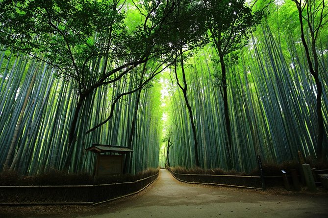Kyoto Arashiyama & Sagano Bamboo Private Tour with Government-Licensed Guide - What a government-licensed guide changes in real life