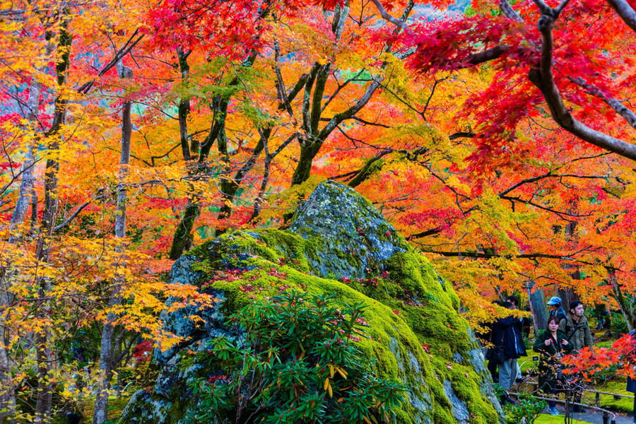 Kyoto: Arashiyama Tour with optional Sagano Romantic Train - Key things that make this Kyoto Arashiyama tour worth your time
