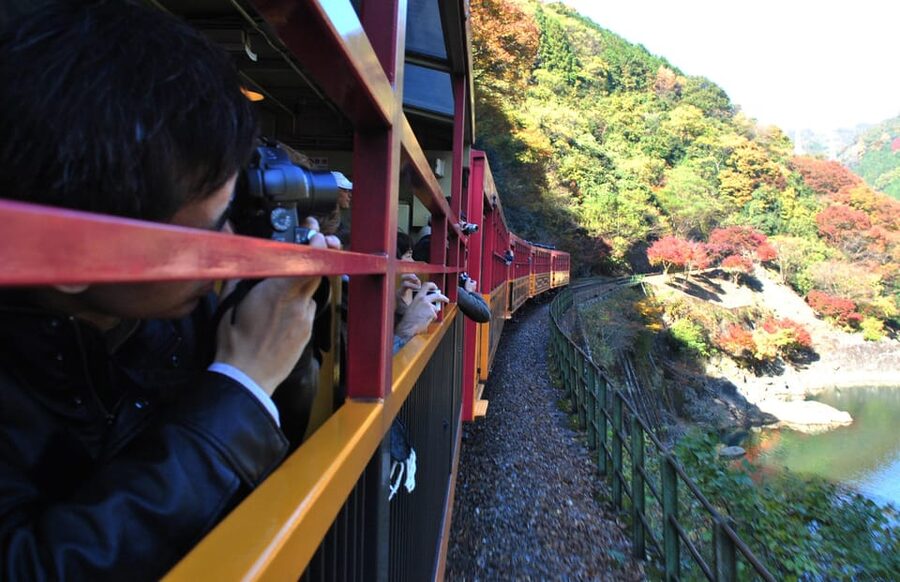 Kyoto: Arashiyama Tour with optional Sagano Romantic Train - Arashiyama Bamboo Forest: what you’ll actually notice