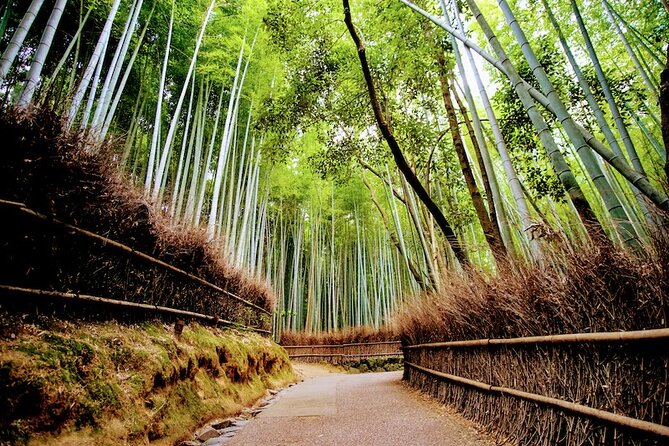 Kyoto Arashiyama Walking Tour: Bamboo, Monkeys, Gardens & Secrets - Bamboo Forest Trail: How to Enjoy the Icon Without Feeling Rushed